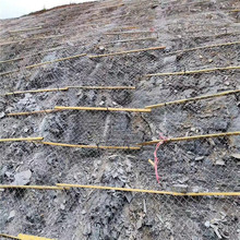 CFzW ߅{카W ^ӹ䓽zW jWF؛