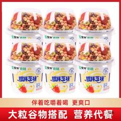 蒙牛はチーズの味のヨーグルトのイチゴのオートミールの穀物のナッツをかき混ぜます。