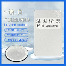 9003皱纹白 白色皱纹粉 桔纹粉 波纹粉 参考劳尔RAL9003 立体感强