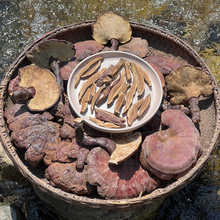 حҰ`֥ ϴeɽ} ֧cƬx ճB