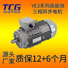 YE3三相异步电动机5.5KW TCG高能效率交流电机 较大的起动转矩机