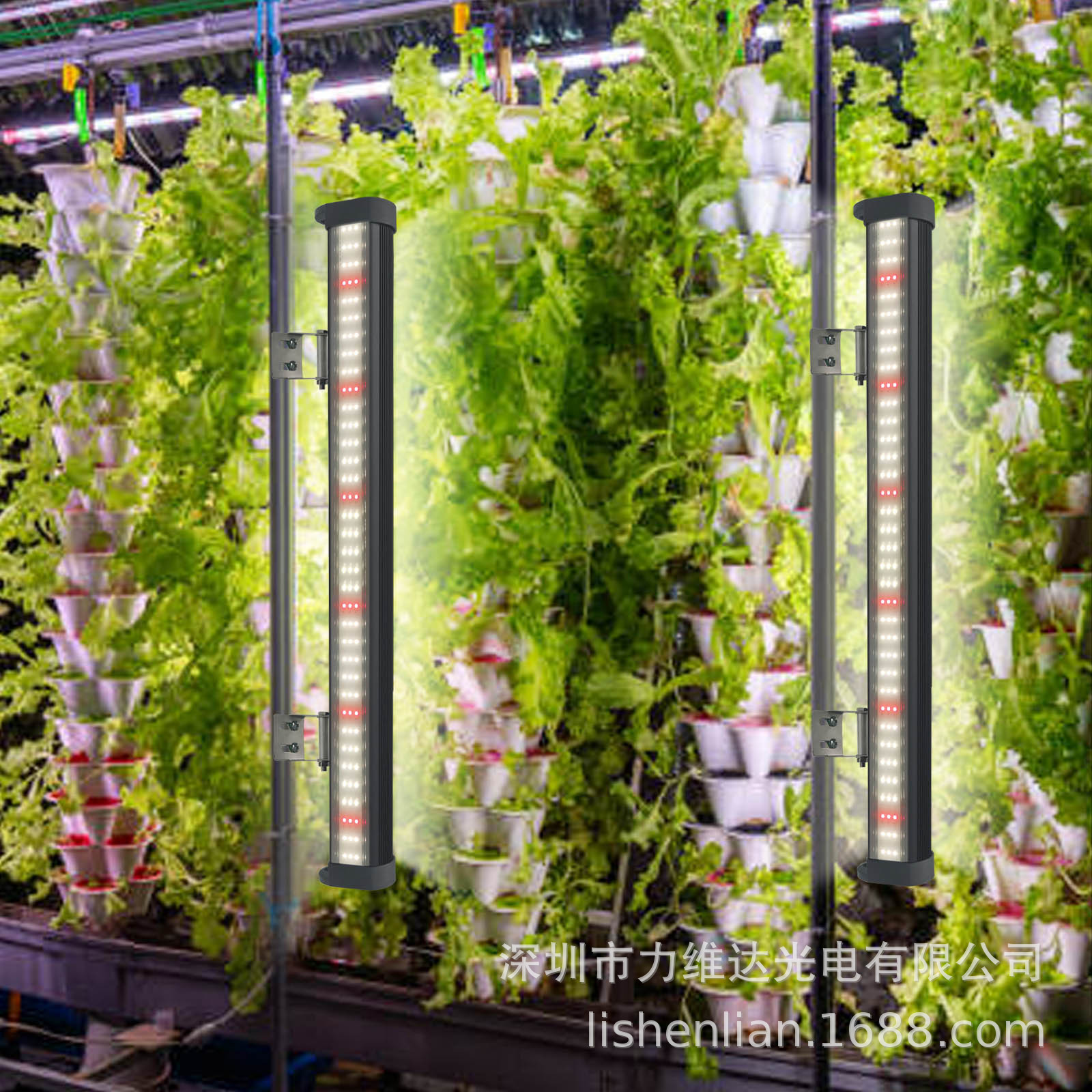 άȫ50W 100W 150W ηˮֱ˫ֲưˮಹ