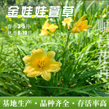 ��������ݻ���F�ڬF�l���n�� ˮ���ر��G��������ľ������l