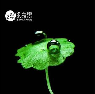 [ˮ���l]�M���㹽���к�ˮ���쾰�~�X��ˮ���~���n���~���^�pˮ��