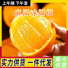 正宗湖南麻阳冰糖橙当季新鲜水果汁多橙子现摘冰糖泡整箱批发包邮