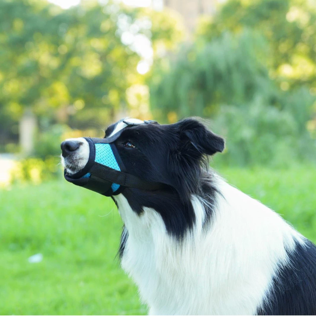 Тщательные отборные высококачественные тканевые собачьи собачьи рты против укусов