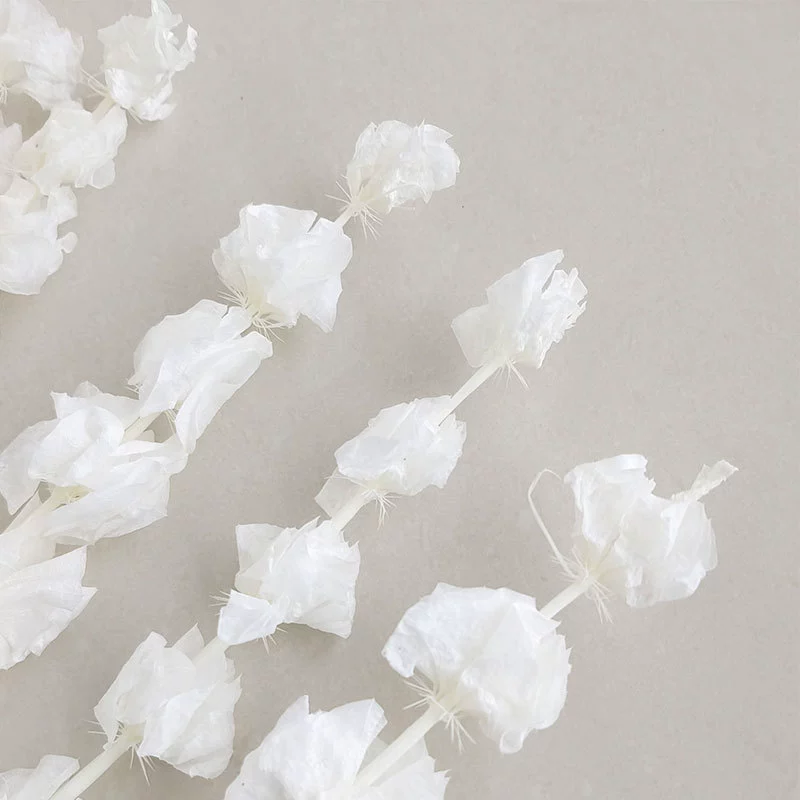 Wholesale eternal shell flower white ornaments flower arrangement shell flower photography props