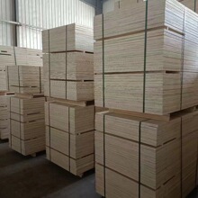 ��ľ���b�宐�ζ����z�ϰ��бP�w����|���P����ذ��ˮ���Ӱ�