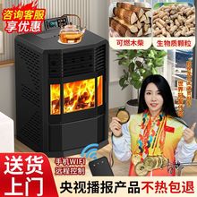 颗粒炉家用壁炉真火木柴欧式两用采暖炉新款燃料燃烧生物质取暖