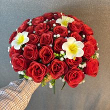 ��c����������5��ֲ�q36�^õ��������Q�羳ֲ�q24�^õ�廨�Ҿ�