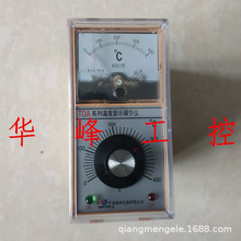 姚奥特佘姚TDA-8001 8002 8301温控仪温度控制器KE/PT100/CU50立