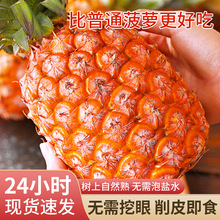 海南金钻凤梨新鲜水果10斤当季粉色风梨香水菠萝特产大果无眼整箱