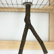 原木鹦鹉站杆苹果木跳台树杈站架组合套装鸟栖息木磨嘴磨爪棒站台