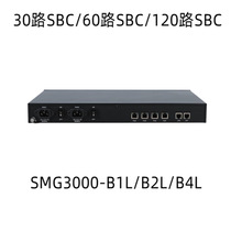 DINSTAR 语音网关 会话边界控制器SBC SMG3000-B1L/B2L/B4L 30路