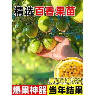 ��������S��J��9̖�޽Ӵ��箔��Y��̨�r���������َ������B