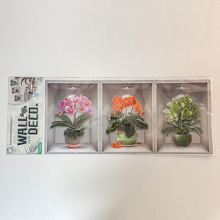 3DЧ�������N����һ���^�������b��e�^�͏d����ֲ�ﻨ�ܱڮ�