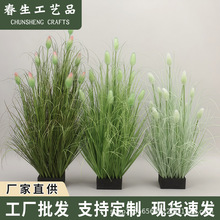 ������β�;Gֲ�쾰��β�Ͳ��b�����������҃ȿ͏dֲ��[��