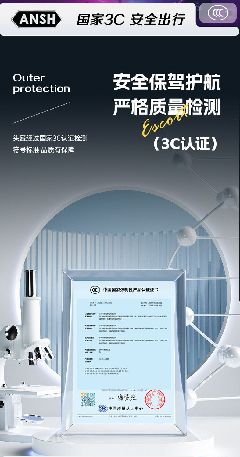 Electric Vehicle Helmet for Men and Women