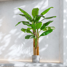 芭蕉树仿真植物落地盆栽绿植室内装饰摆件盆景美人蕉香蕉树高仿真