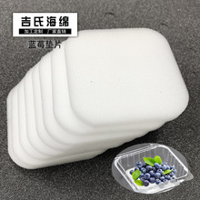 125g蓝莓海绵垫片白色吸水软水果包装 防破损垫片防压防震5mm8mm