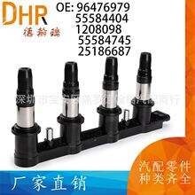 96476979 55584404 1208098 55584745 25186687 点火线圈