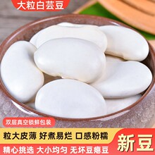 大理特大白芸豆干云南特产农家新鲜腰豆子白扁豆五谷粮白云豆
