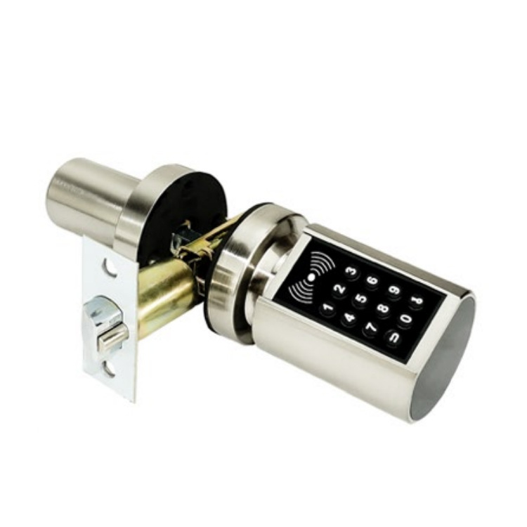 Transfronteriza al por mayor inteligente de huellas dactilares de bloqueo interior TTLOCK paso de bloqueo de oficina apartamento esférico de bloqueo de aplicaciones de graffiti