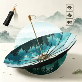 雨伞;晴雨伞