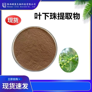叶下珠提取物10：1比例萃取叶下珠粉夜合草龙珠草 植提原料