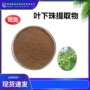 萃取比例龙珠叶下珠提取物