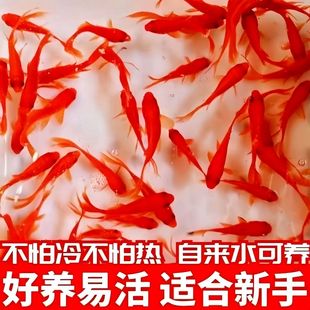 �ݽ��~���~�\���~���^�p�~��ˮ�~��ˮ�~С���ͻ���wС���~�t�ݽ�