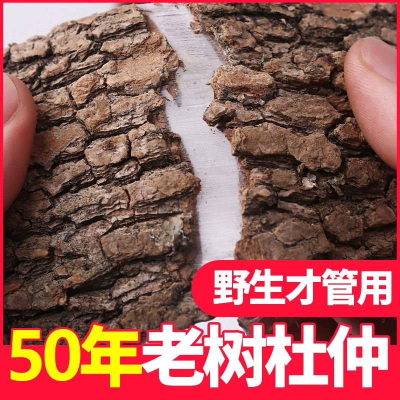50-летний особый сорт сакуру Sichuan? Wait wrong. Let's translate properly.