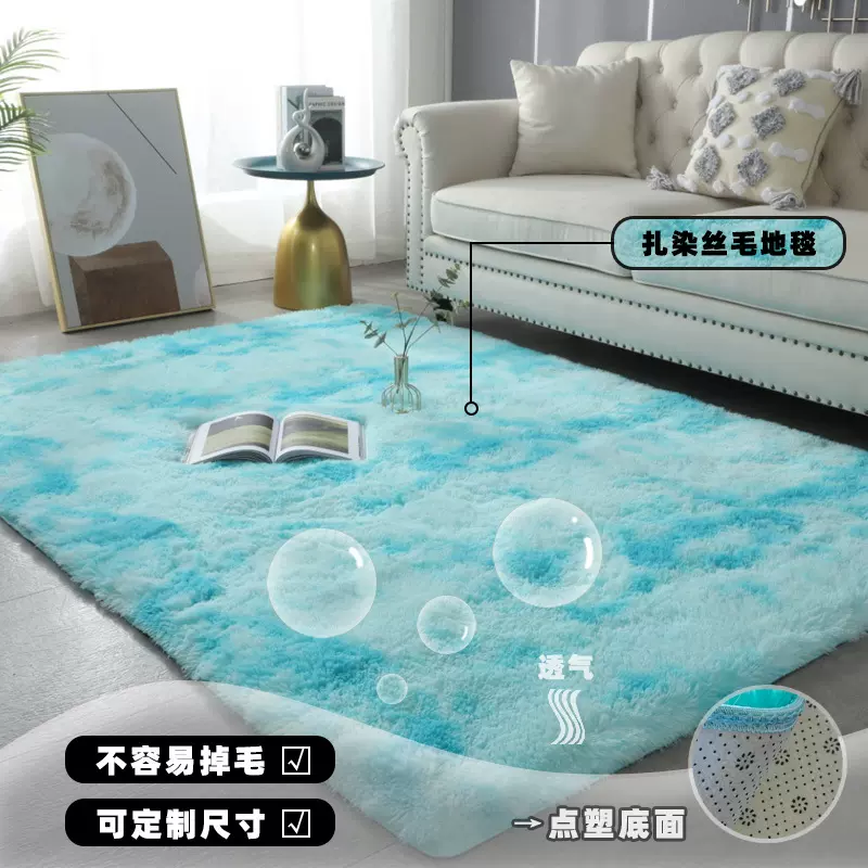 地毯全铺北欧轻奢客厅吸水防滑丝毛地毯家用耐磨耐脏地毯跨境