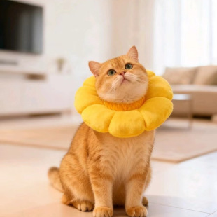 ̫ꖻ�����ɯ��؈Ȧ���{�������^�׷���ץ��؈�ȦȦ����