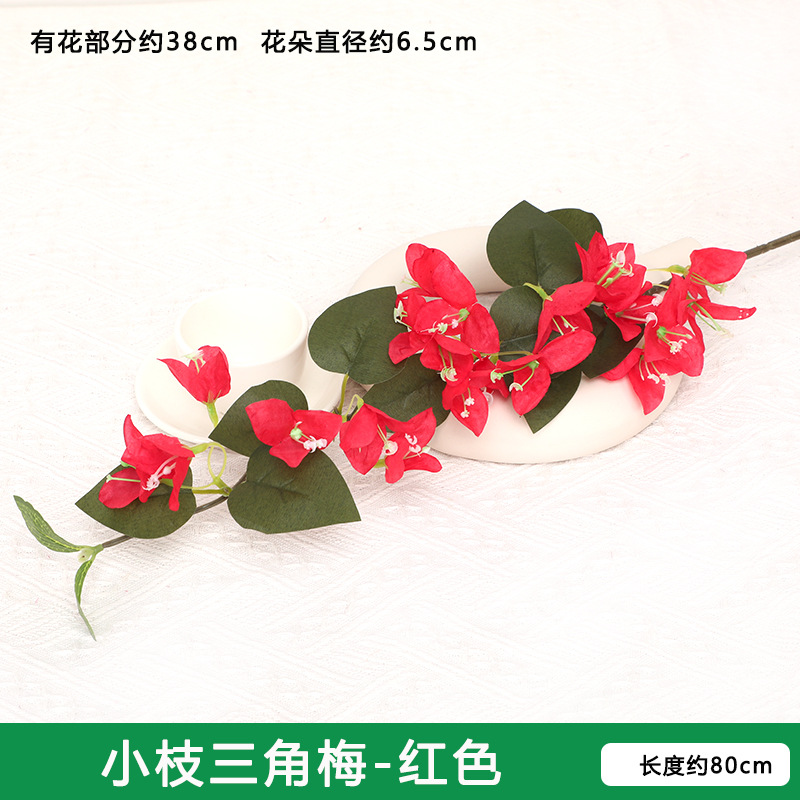 부겐빌레아 가지 - 밝은 빨간색
