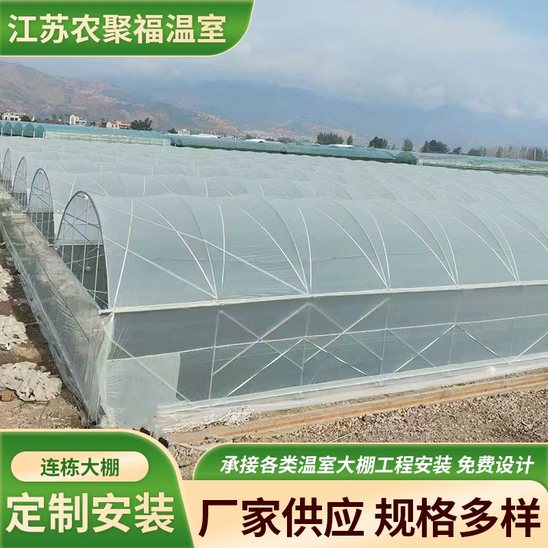 Простая пленка теплица теплицы с цветами и овощами