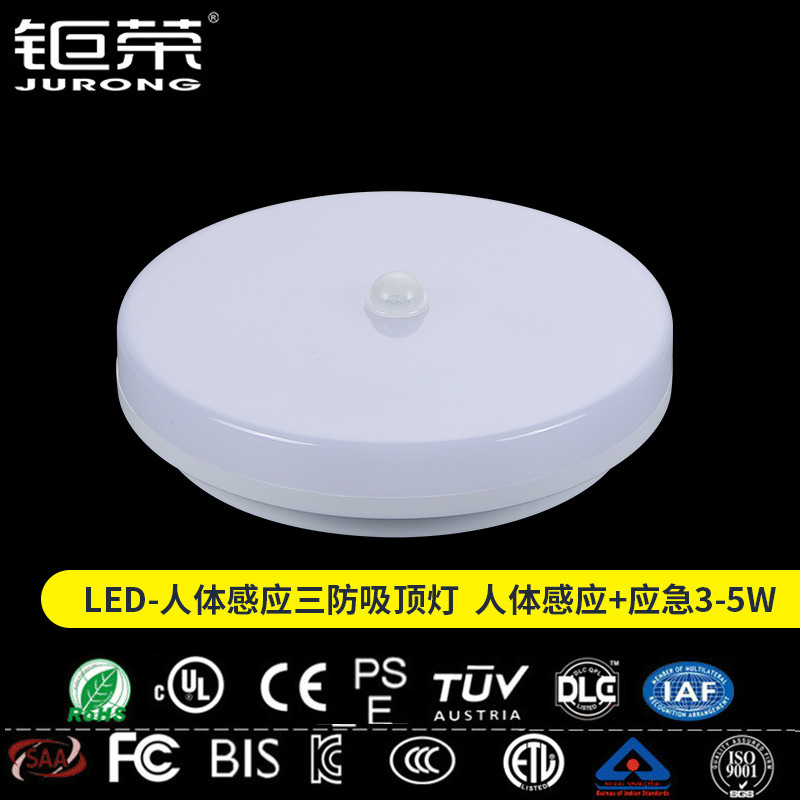 LED emergency light human body induction three-proof ceiling light bathroom anti-fog lighting lighting bath light LED emergency light human body induction three-proof ceiling light bathroom anti-fog lighting lighting bath light