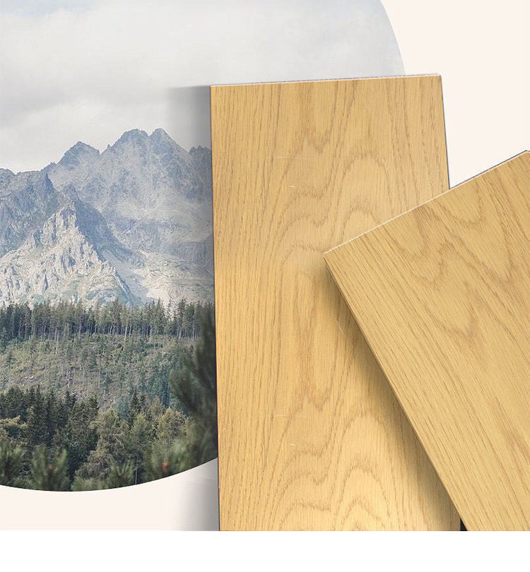 eeb4bb54-b6a7-4d11-a1a0-2ba8c30701d1.jpe