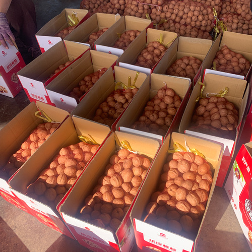 185 paper-shell walnuts, 5 jin per box, loose packing. Direct shipment from Aksu, Xinjiang. Crispy and delicious, available for live-streaming sales directly from the origin.