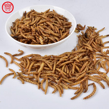 ���l�S���x���x ˮ�����ʳ������xϐ�������ϸߵ���