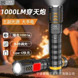 手电筒;头灯头戴电筒;提灯