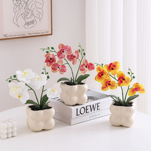 ����GֲС���Լٻ����滨�[�O�k���ҿ͏d�b[������������ֲ��