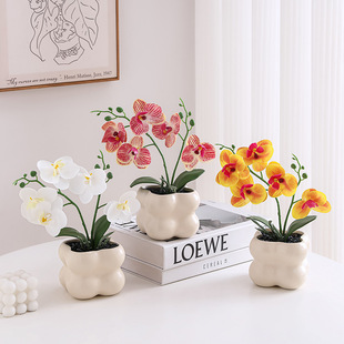 ����GֲС���Լٻ����滨�[�O�k���ҿ͏d�b[������������ֲ��