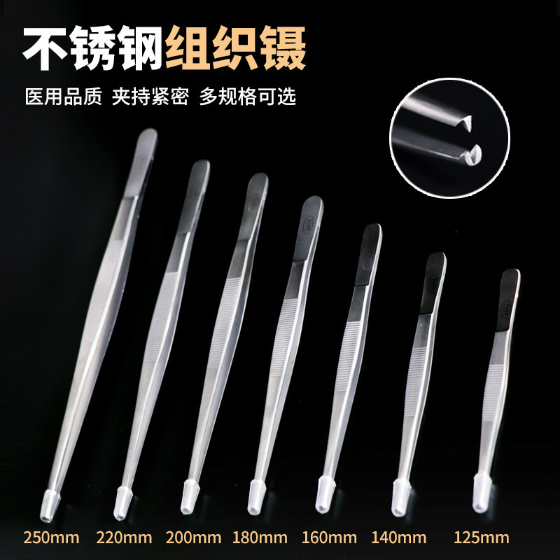 Stainless Steel Medical Organization Durtle Thick Bands with Tooth…