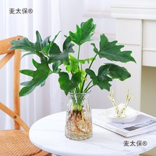 j8ˮ�B���������҃ȴ�������~ˮ��ֲ��Gֲ�Ϙ��k�����~��̫��