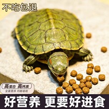 高钙高蛋白龟粮乌龟饲料草龟金钱龟龟食巴西龟食物专用幼龟通用