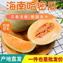 ���Ϲ��۹Ͼ��x������۶�֭��ɳ�طNֲ�ЋDˮ���������b���l���]