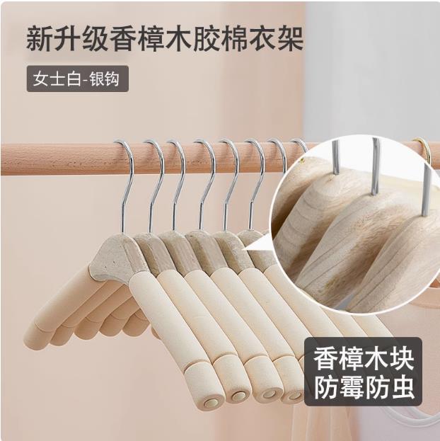 장뇌 스펀지 베이지