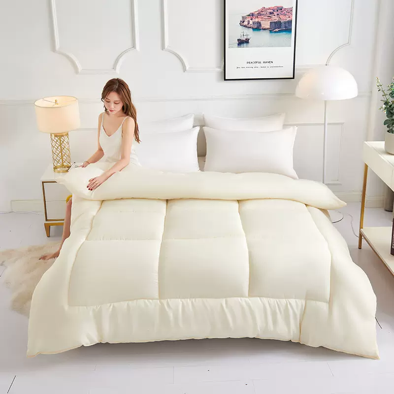 会销礼品被子棉被被芯丝棉被冬被驼绒被LOGO设计接大小单批发代发