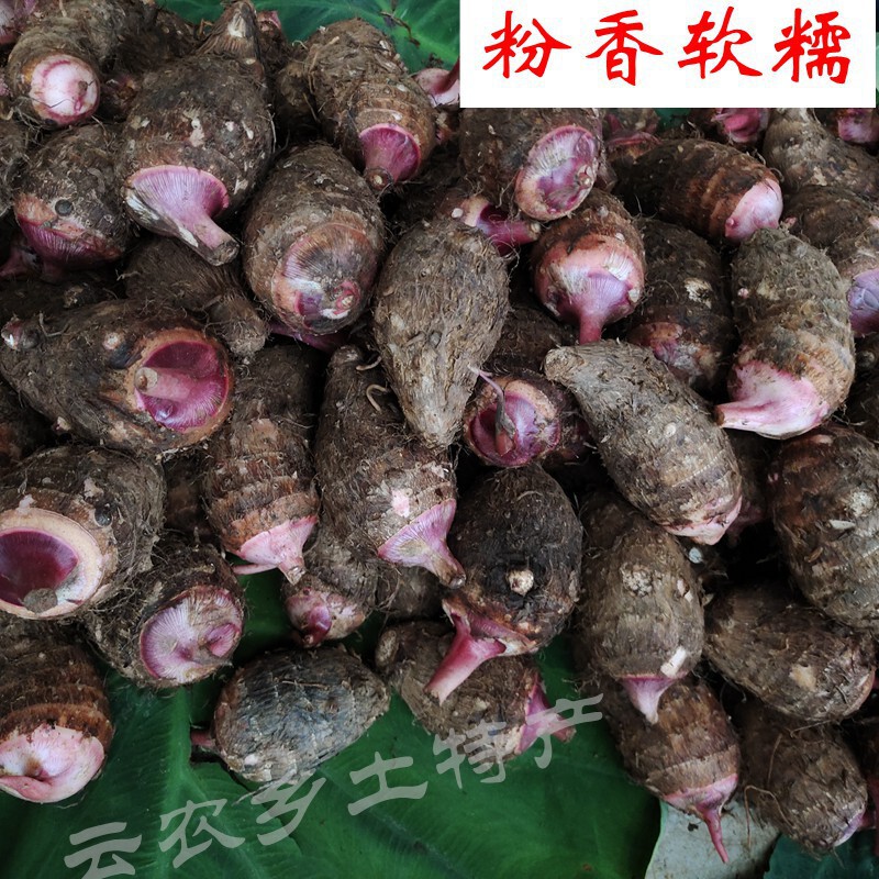 Fresh Taro, Yunnan Alpine Red Bud Taro, Farm-Grown Taro, Fragrant Taro Powder, Glutinous Milk Taro, Seasonal Vegetables, Free Shipping